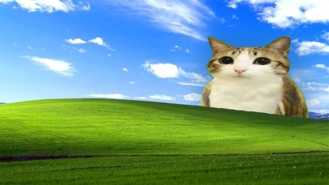 XP Cat — ChatGPT, Claude & Gemini theme preview
